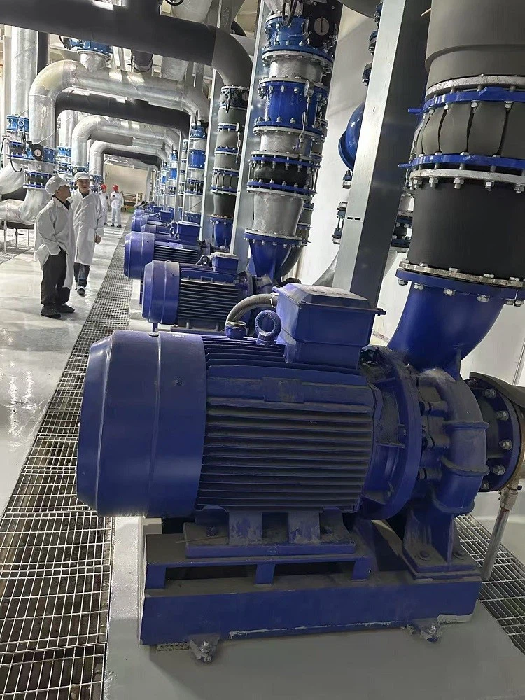 Pump For Automotive Coating Industry 2 Pump For Automotive Coating Industry 2